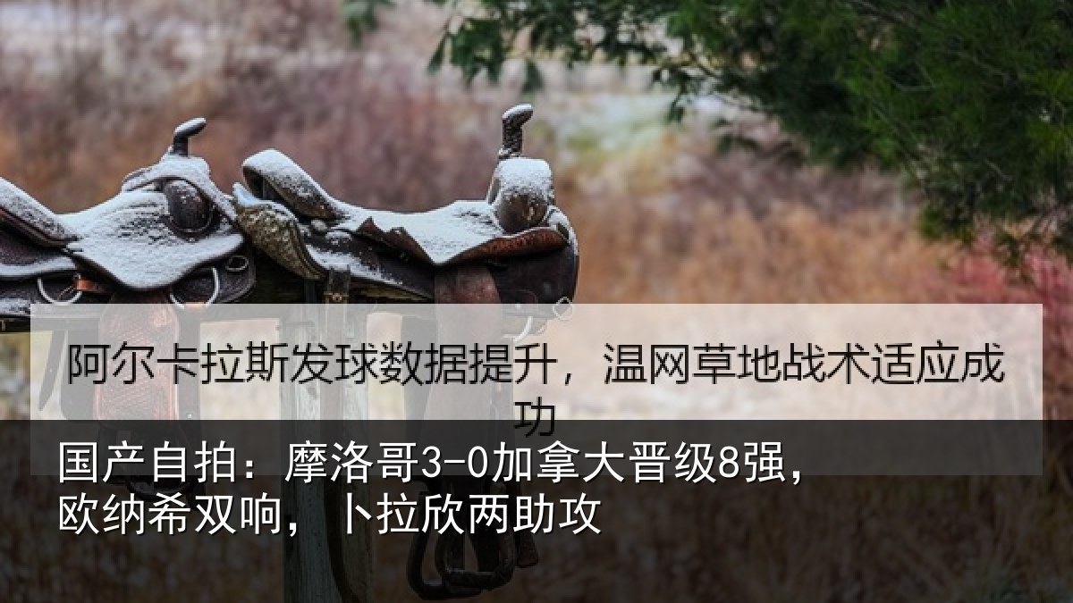 国产自拍:摩洛哥3-0加拿大晋级8强,欧纳希双响,卜拉欣两助攻