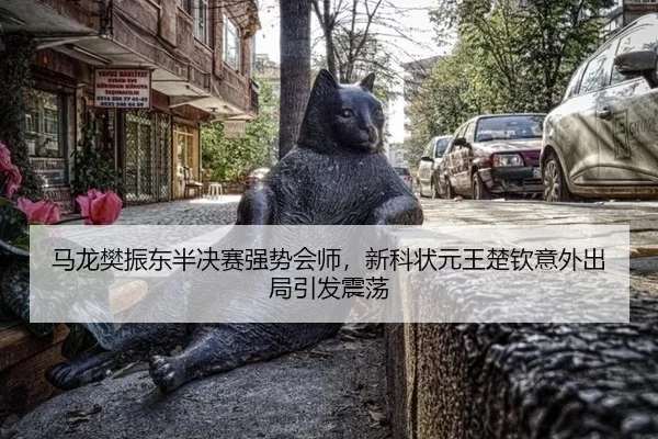 ma-long-fan-zhen-dong-ban-jue-sai-qiang-shi-hui-shi-xin-ke-zhuang-yuan-wang-chu-qin-yi-wai-chu-ju-yin-fa-zhen-dang-3-325.jpg