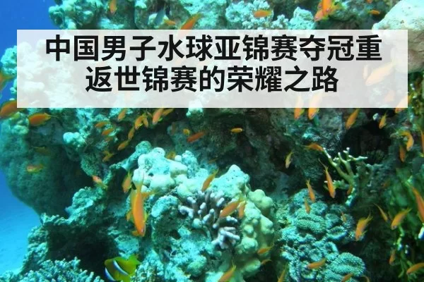 中国男子水球亚锦赛夺冠重返世锦赛的荣耀之路